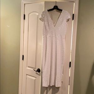 Dress the Population Sequin Dress